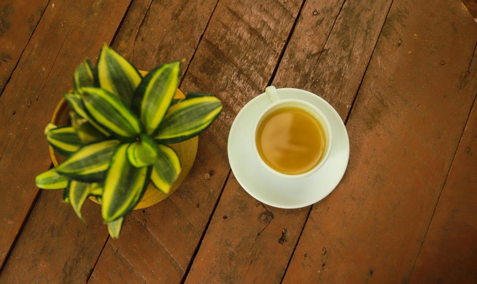 Dinna Nature Hostel Sigiriya Ngoại thất bức ảnh