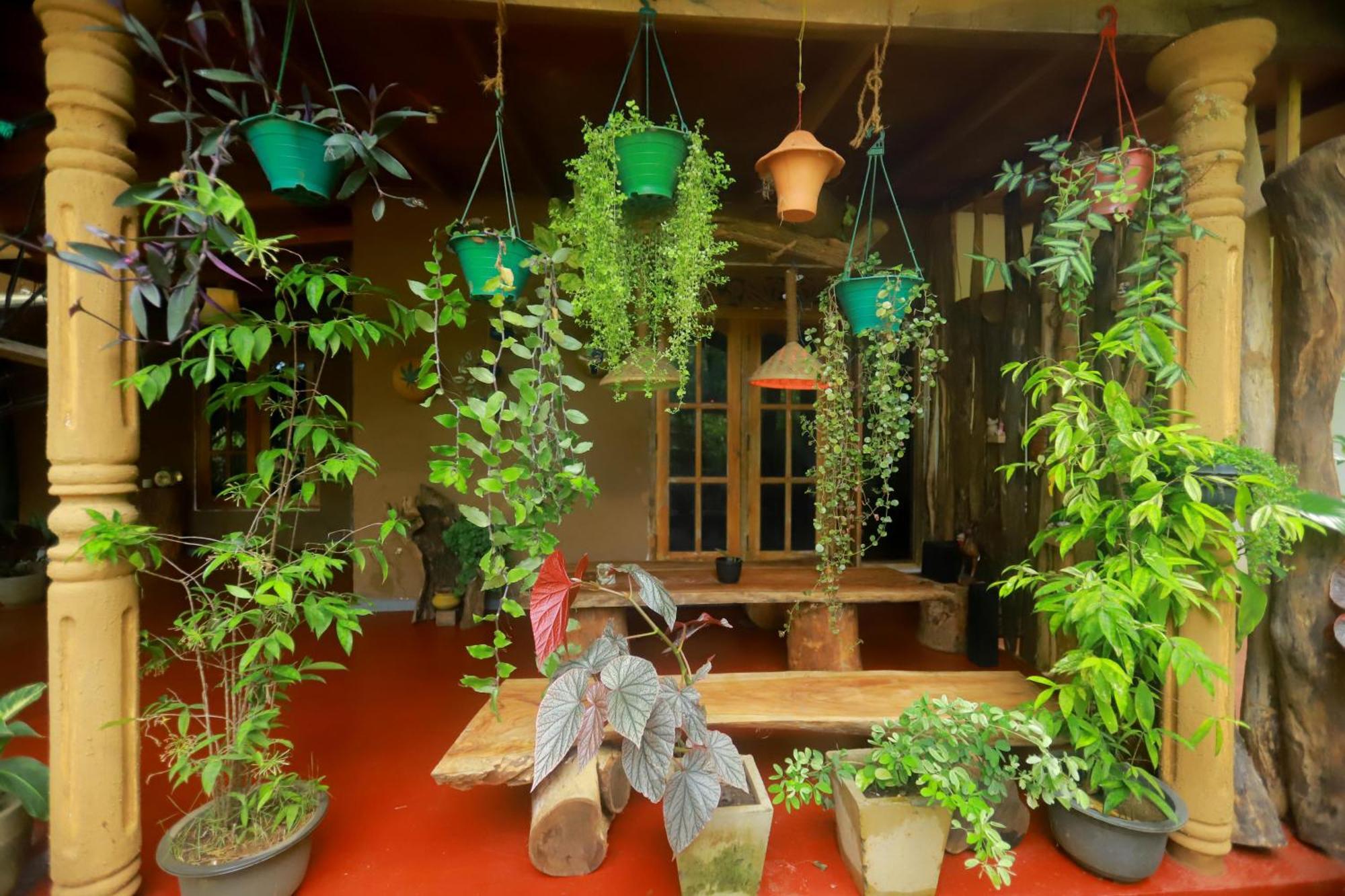 Dinna Nature Hostel Sigiriya Ngoại thất bức ảnh
