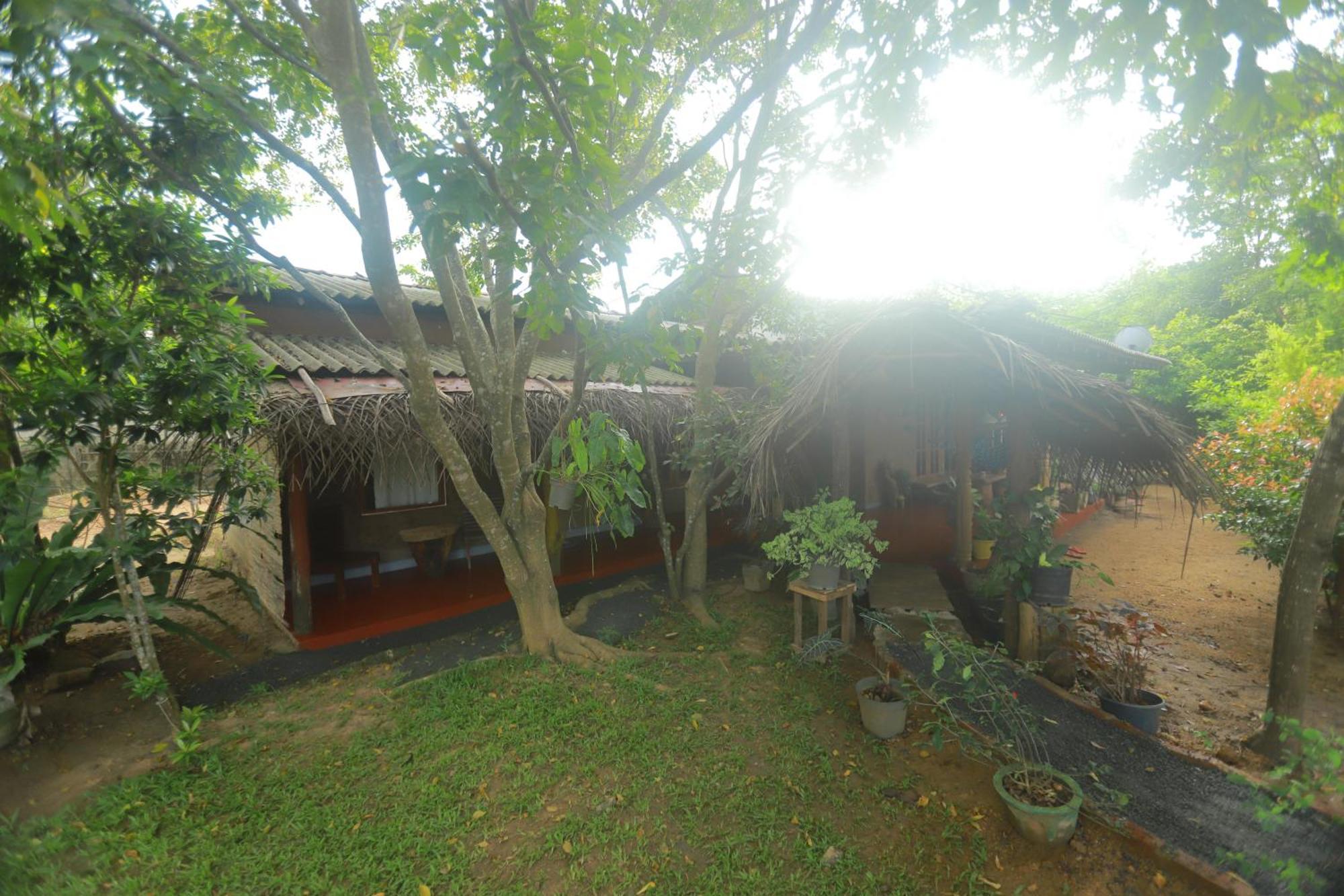 Dinna Nature Hostel Sigiriya Ngoại thất bức ảnh